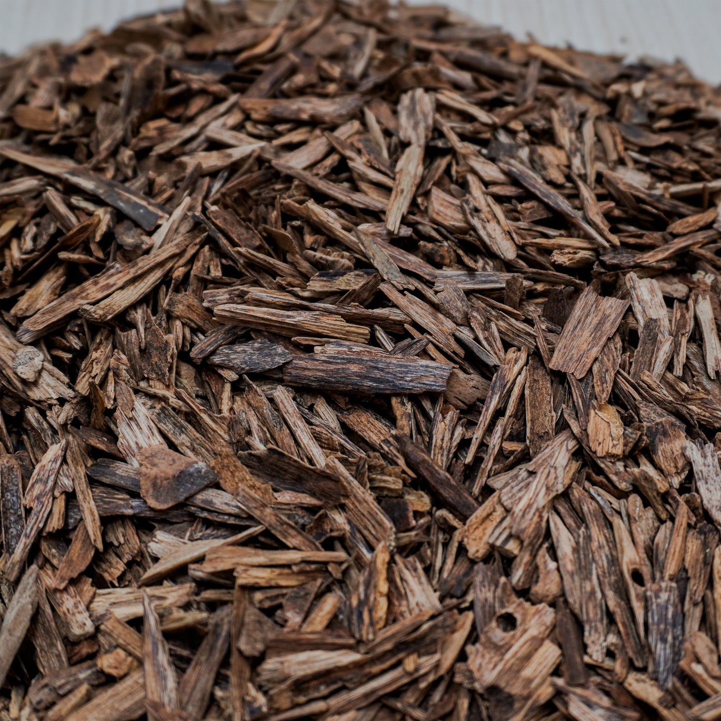 Malaysian Dugga