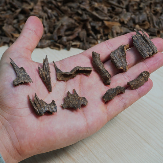 هندي موري دبل سوبر