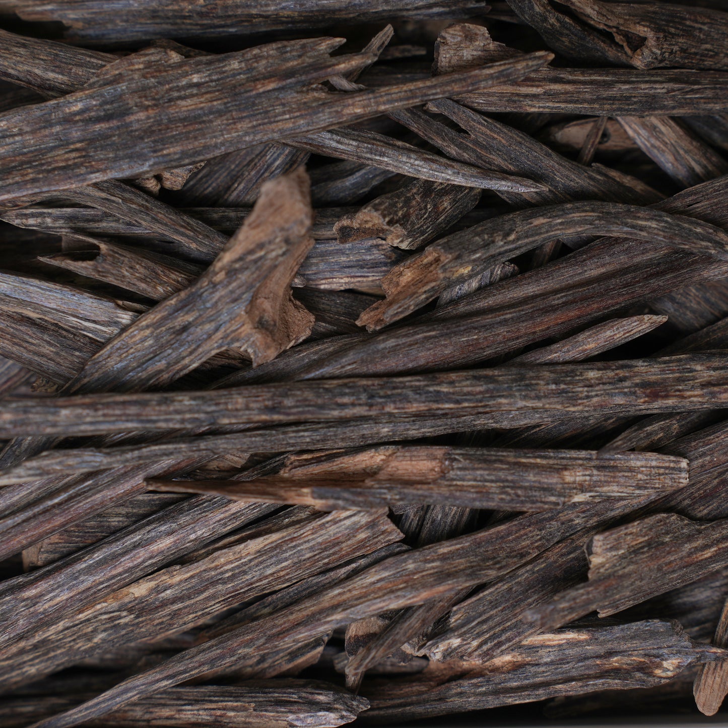 سلا تربل سوبر