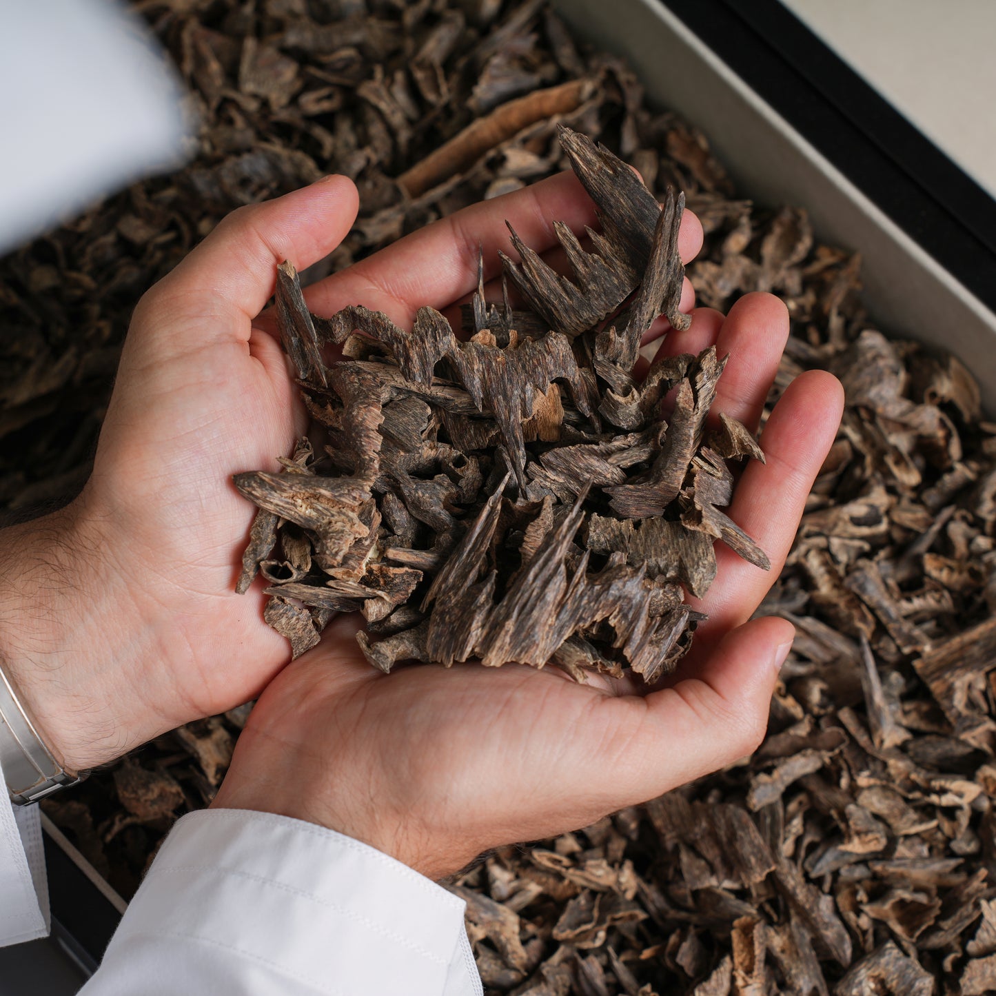 هندي موري تربل سوبر