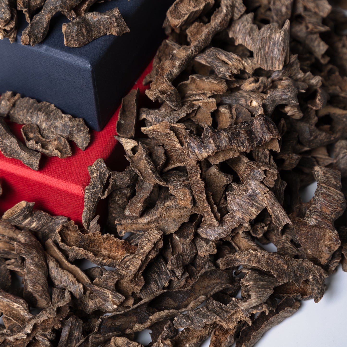 Hindi Bisa Muri: Hindi Bisa Muri By Luxury Oudh
