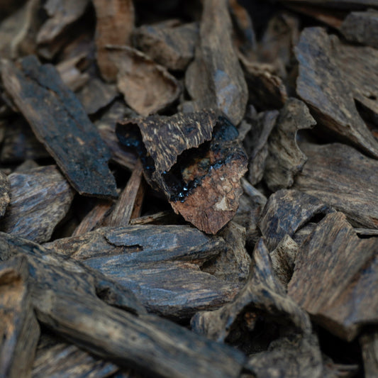 فلبيني VIP كولكشن