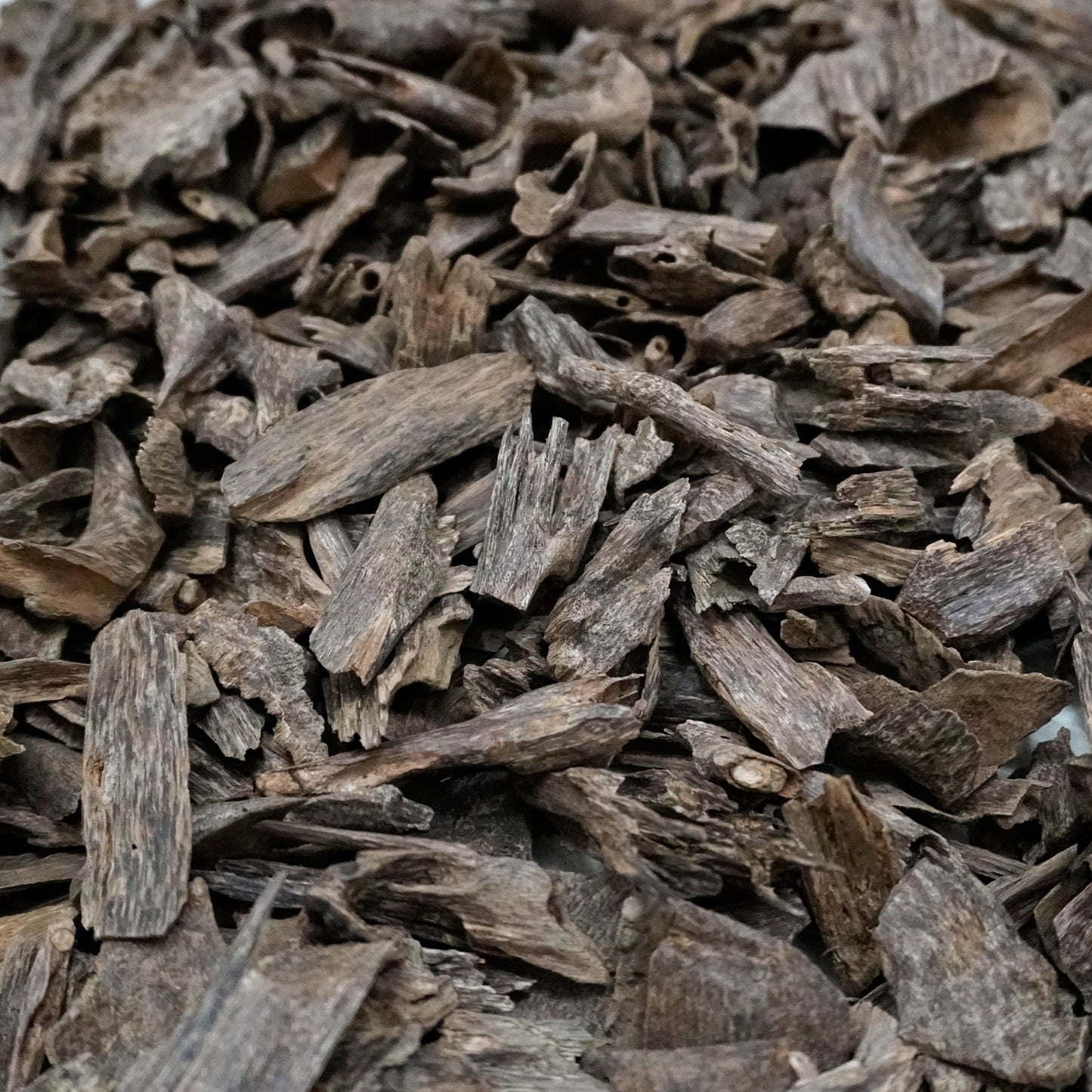 Filipini Bicol