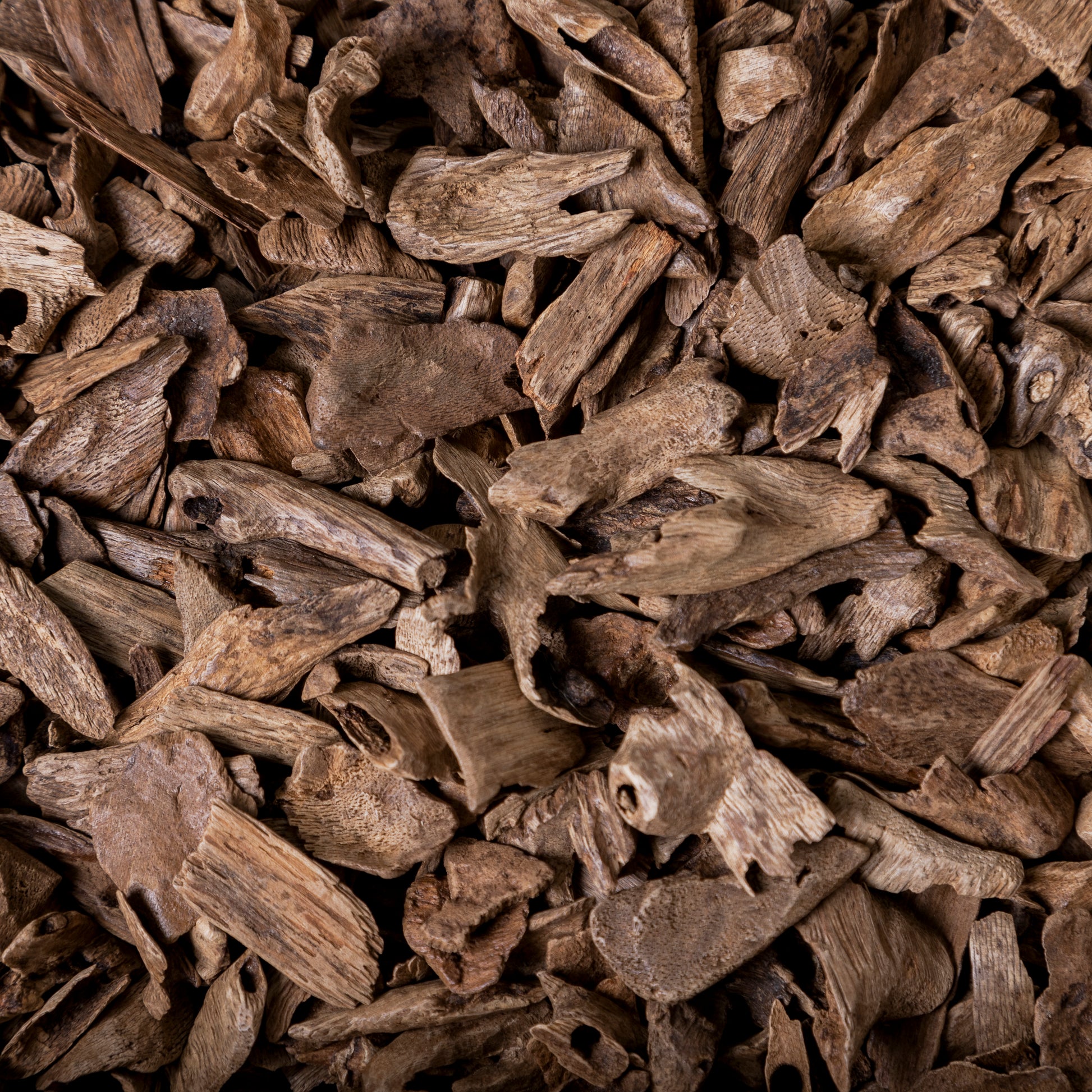 Filipini Bicol Super: Filipini Bicol Super By Luxury Oudh 