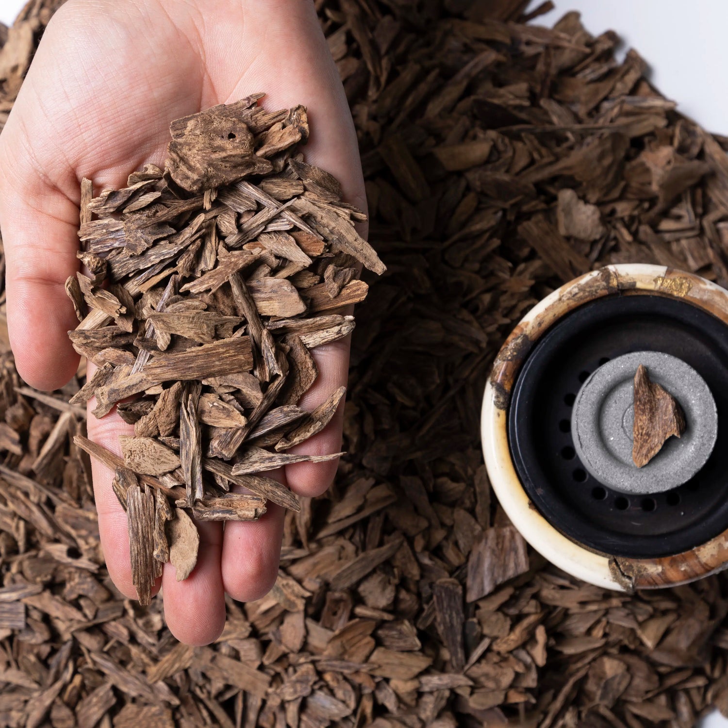 Malino Dugga: Malino Dugga By Luxury Oudh 