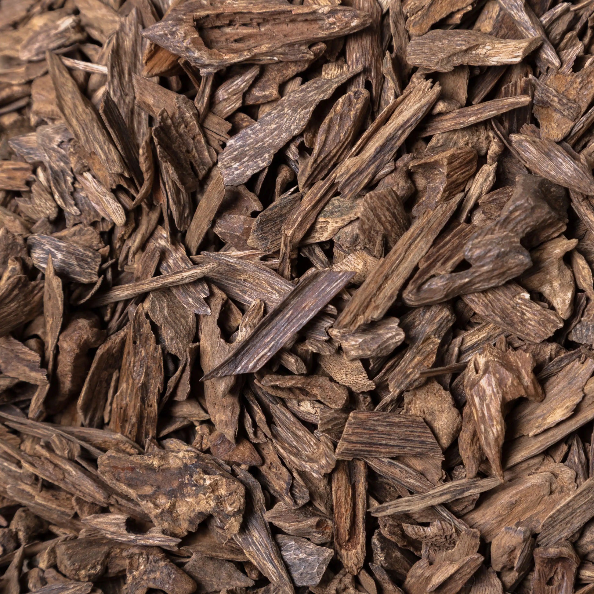 Malino Dugga: Malino Dugga By Luxury Oudh 